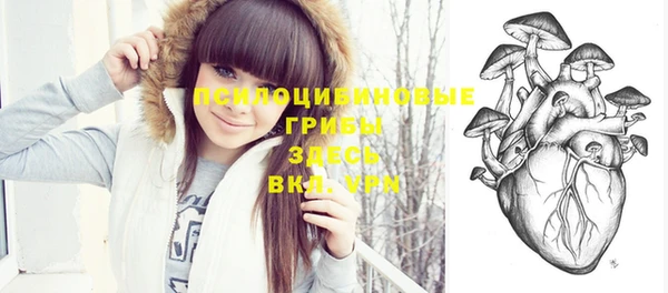 дживик Бородино