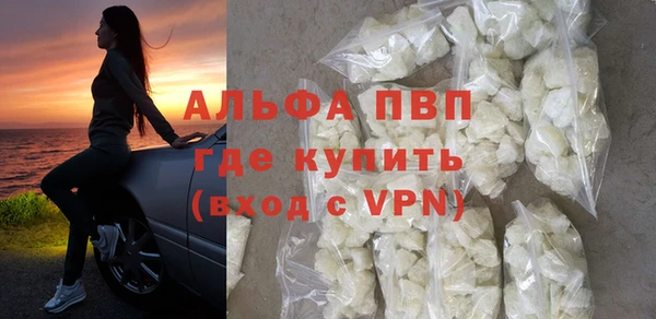 спиды Верея