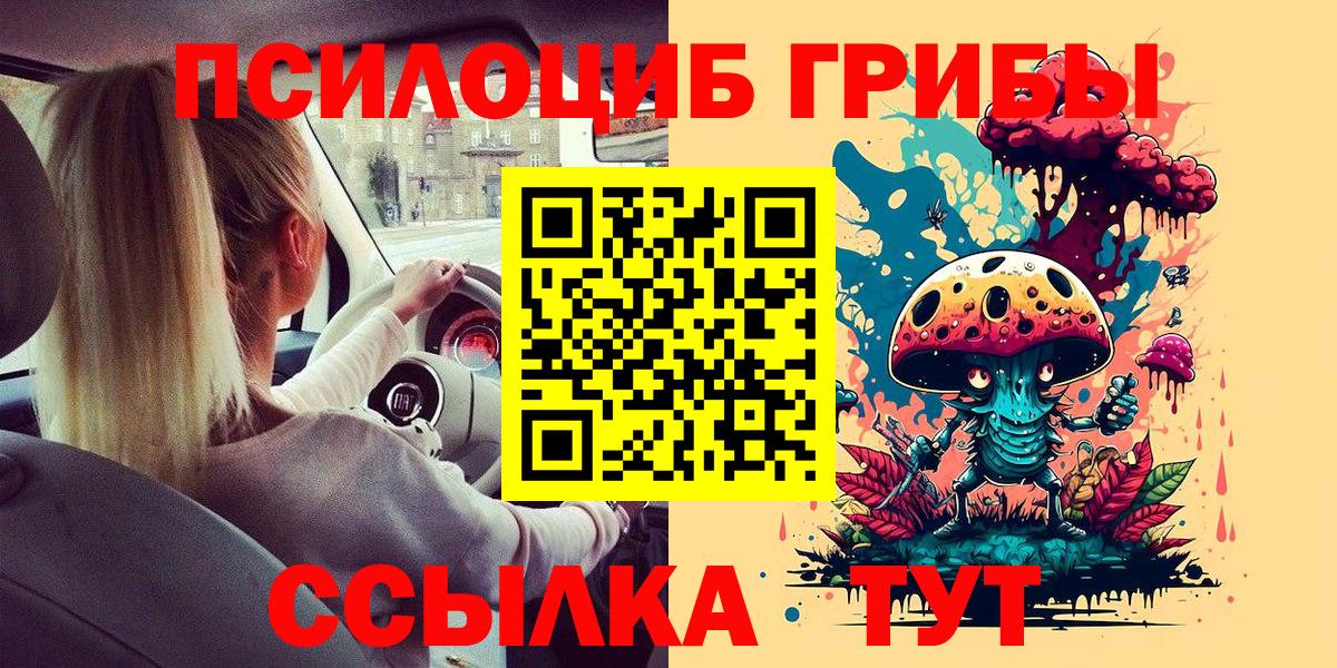 Гай  цены   Вход с VPN  Псилоцибиновые грибы Psilocybine cubensis 