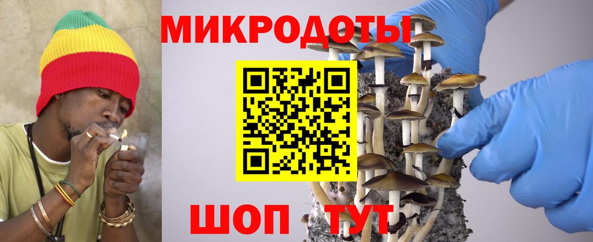 Псилоцибиновые грибы Magic Shrooms Гай