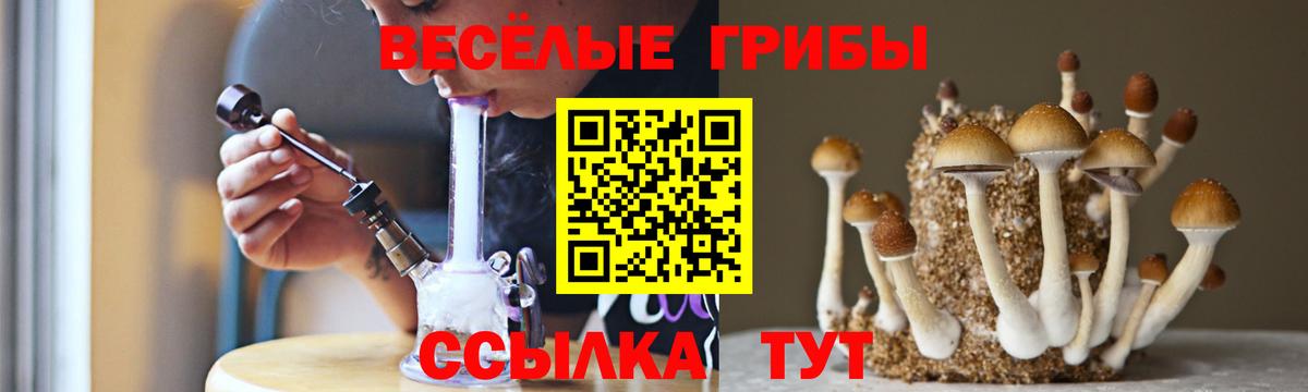 Гай  цена наркотик  Вход с VPN  Псилоцибиновые грибы прущие грибы 