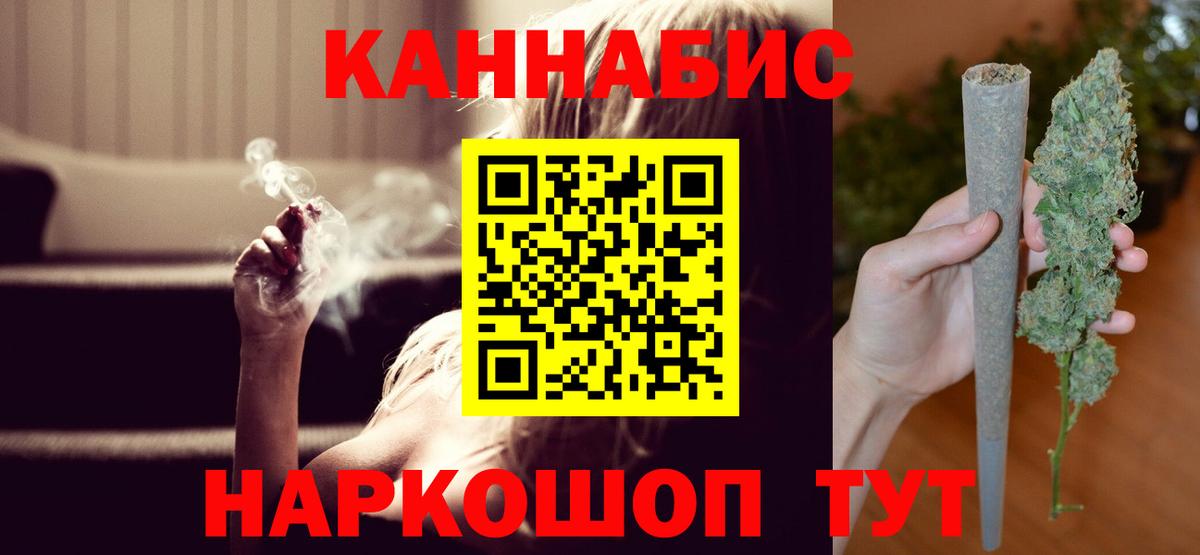 Конопля сатива Гай